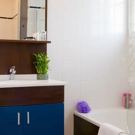 Well-Kept Apartment, Located In Nice Roche-Posay *